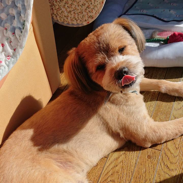 415b71bc 21a9 4796 ae54 ea98a5397ba7 1561416696162