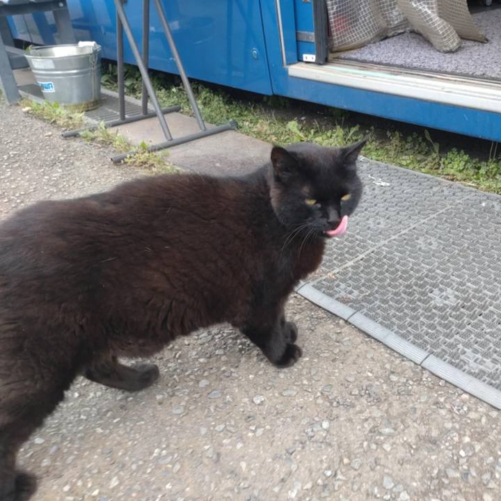 415b78cd e819 4991 afaf 377ef80b53fb 1759189708908