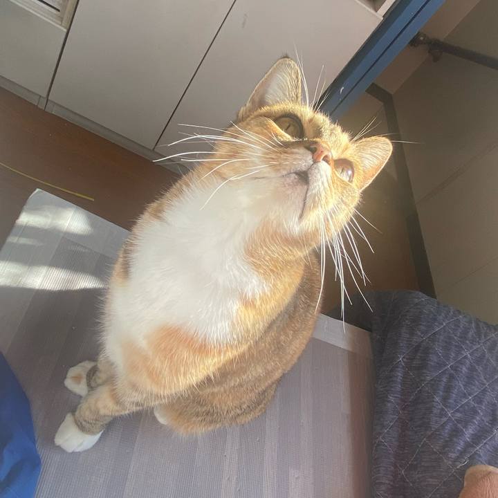 415b9eff f0de 40ea 82ef 4f4917f88dad 1638496876782