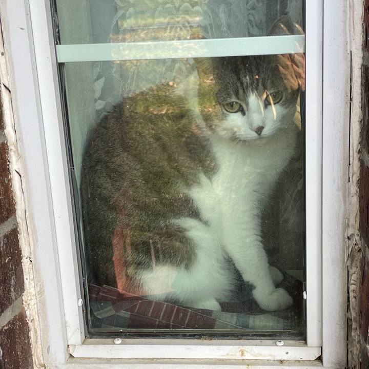 415bac29 2022 40e8 b1b5 127695b70125 1769478180051