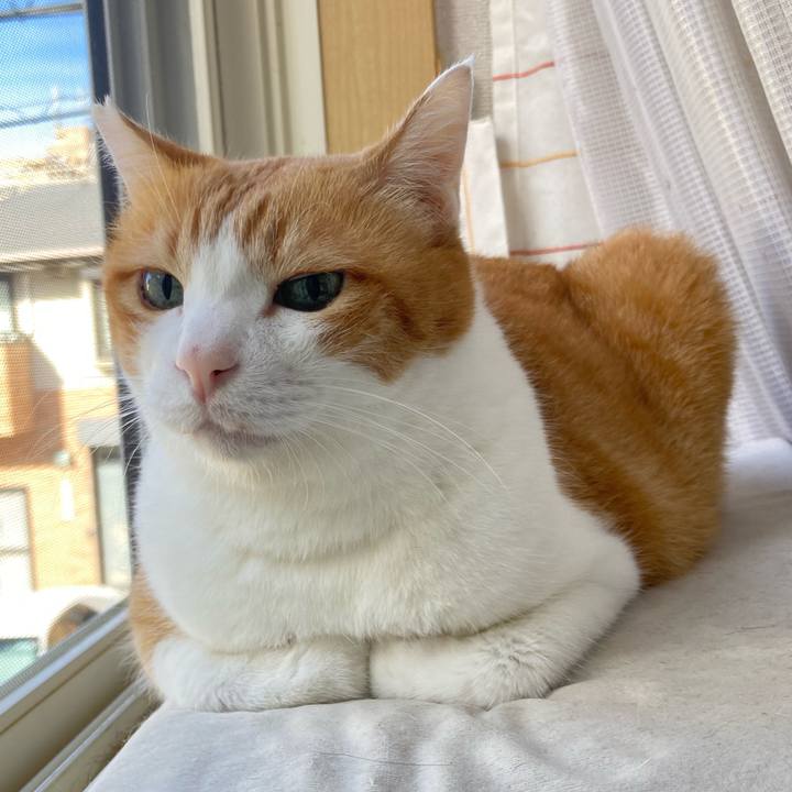 415bb1d6 7dbe 49be ae25 c4a4068ed209 1763897738762