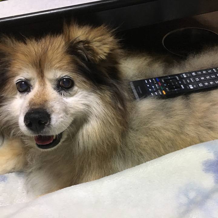 415bedb6 7091 4cf1 b5a1 a4cbfda54600 1549362520875