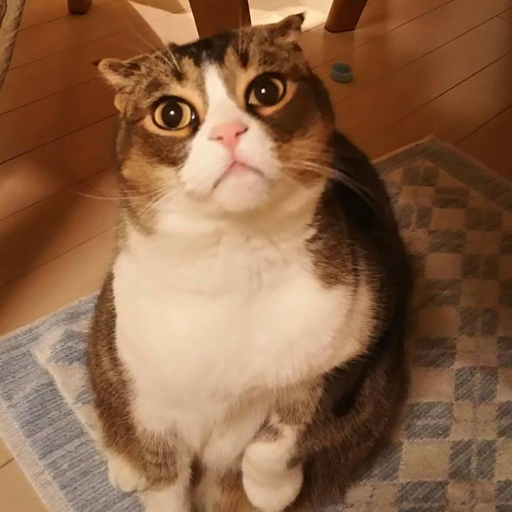 415c0739 3932 4fcb 9494 4bee714c2506 1520121275255