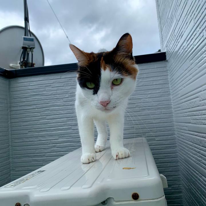 415c1d9e 335e 47b6 a8cc 76a37224589c 1629338138052