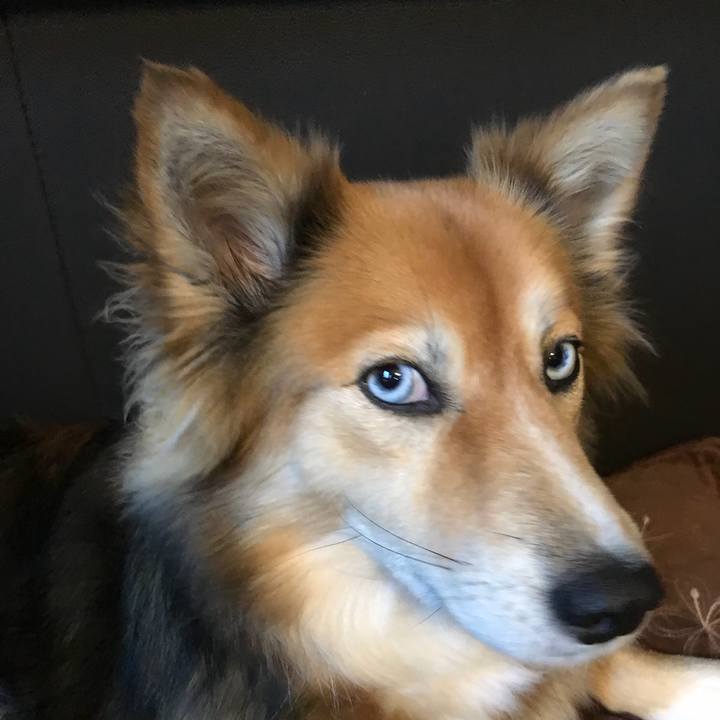 415c2216 39db 42f7 ac9b e5d3f57b6858 1509949010166