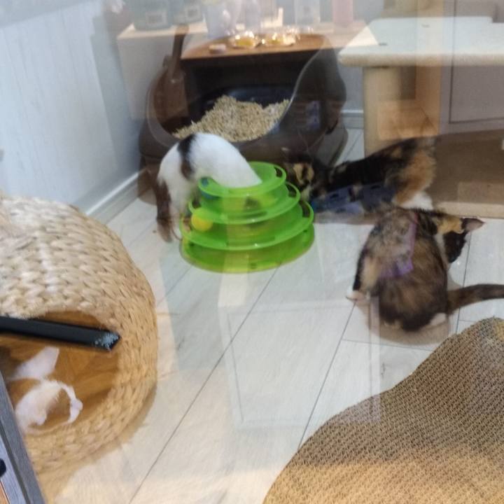 415c53cb bd45 4071 99ab 8fdf5a00e554 1594304266482