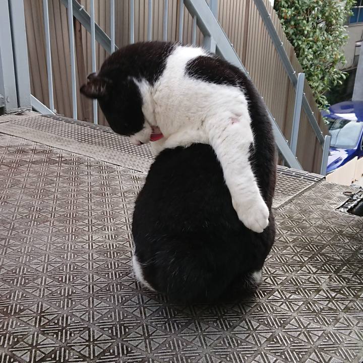 415c661d fccf 4b5a a022 13a59a659499 1602975805477