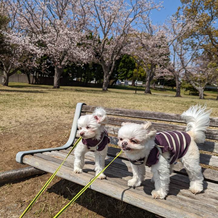 415c9d11 2067 4403 8789 c21fa5d6e33d 1649487765309