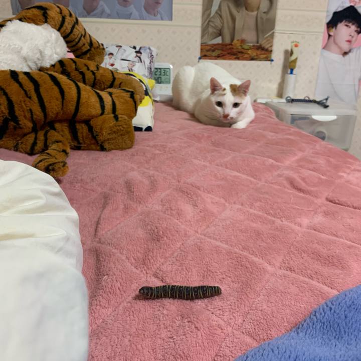 415ca947 b54b 4332 8ff1 e9c5d837f5d7 1574197512238