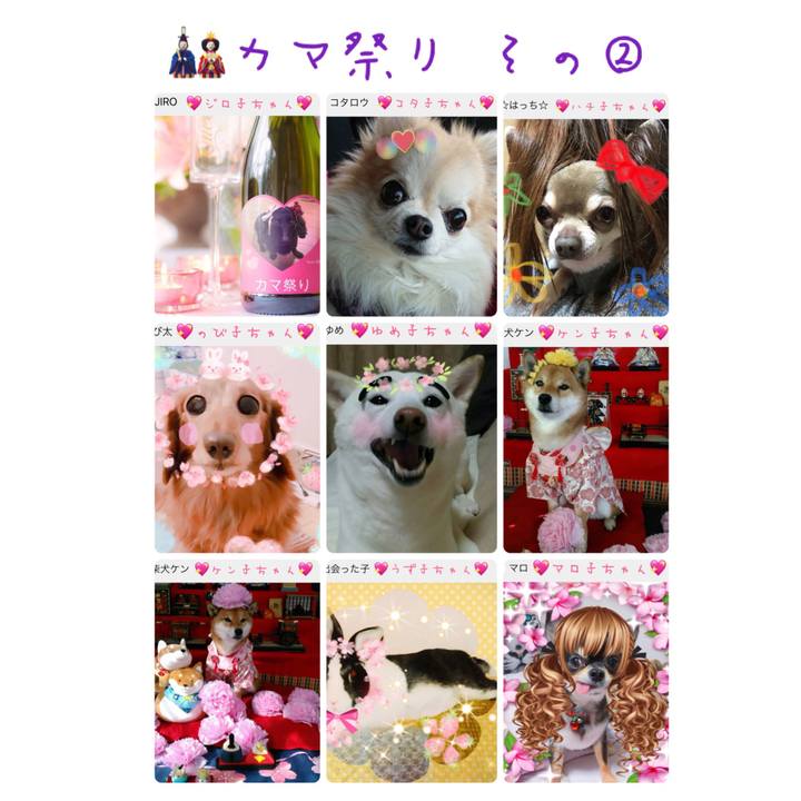 415cc5da b178 4cb8 9299 c0e67e2d7b4c 1520255335211