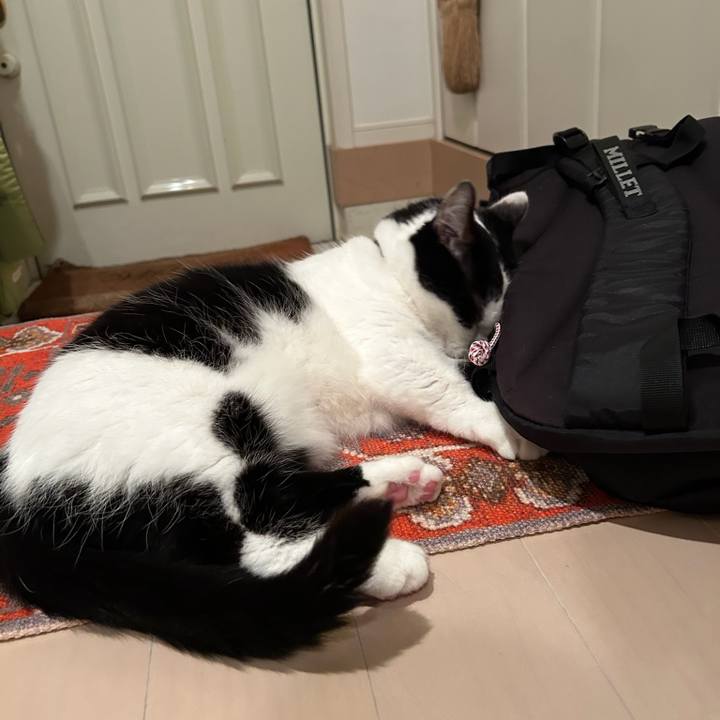 415ce63d d769 4ddc 8bb4 43bd7d6e2321 1761520100206