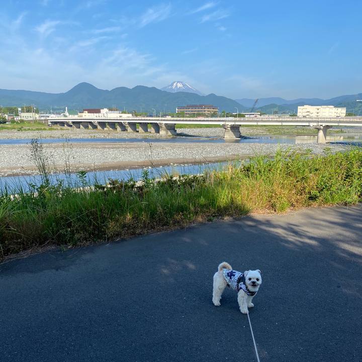 415ceb14 be91 4b8c b2f7 69f8313d2690 1592346596381