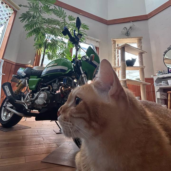 415d1583 5e35 4a26 8208 8e9f2314217e 1688536693017