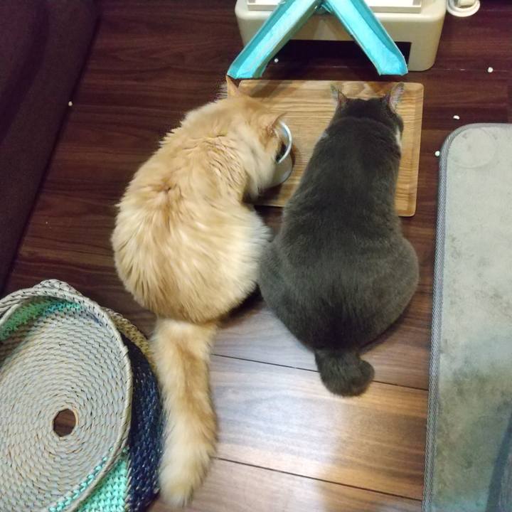 415d169c a506 42d4 b112 39839c8ebd7d 1652359794914