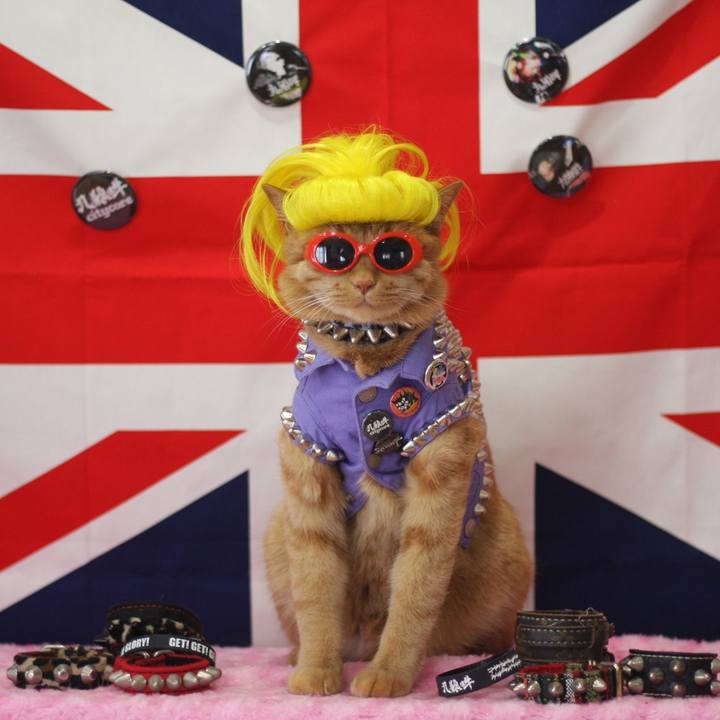 415d543a 4bb2 4d3d bfdd 178064653aef 1662331824102