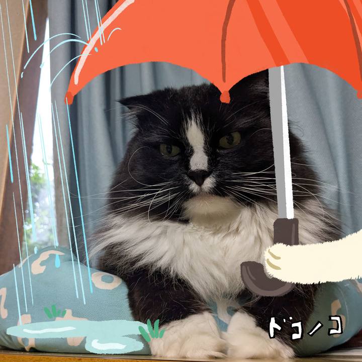 415d7c36 73d9 4905 a8cd f456d392ad66 1749373565509