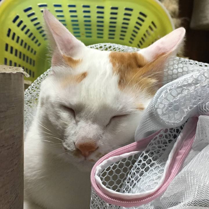 415d7eb1 a379 4ac4 97ed a98bd05c18d3 1549119885281