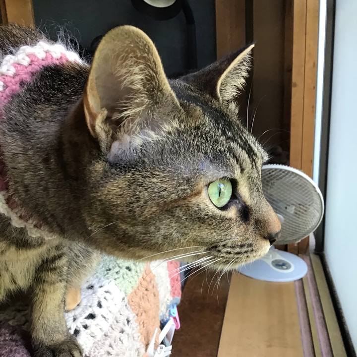 415d8fa1 7b1a 4101 b800 f1d8a601aa55 1652162963550