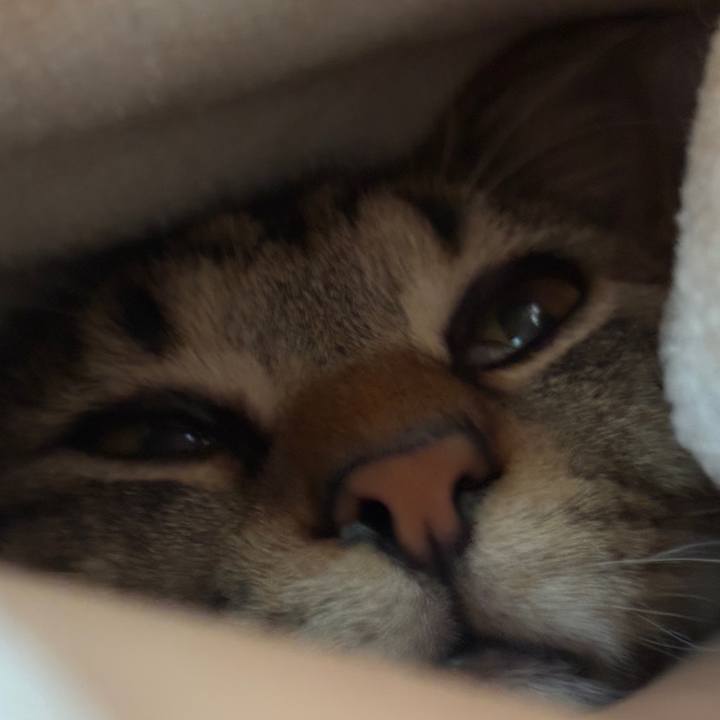 415dcbd1 f0e2 451b 9ed4 7bbfcf2104e8 1748140794854