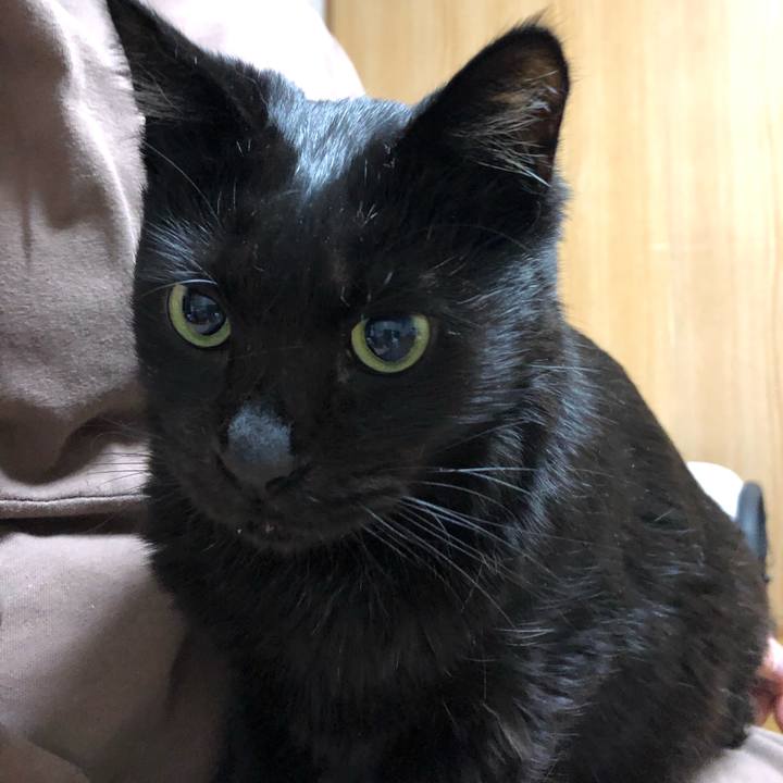 415e616e a209 49e9 9028 2662d139b149 1614170654854