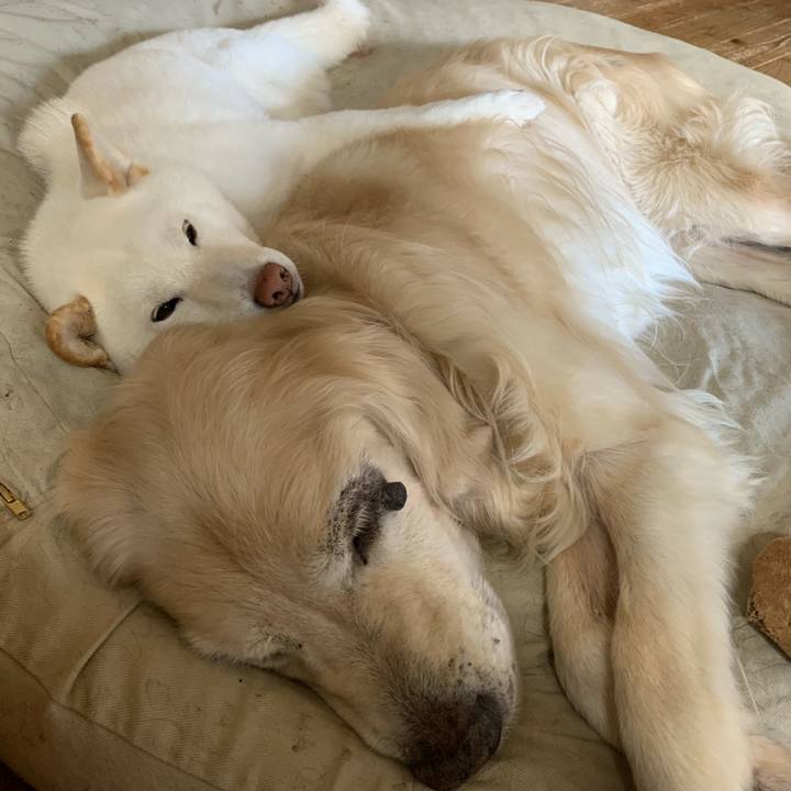 415e7385 7277 473d 8516 4c42ba578d54 1611808942764