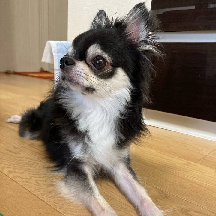 415e89fd 4422 4ec3 83af acc1f0daeeda 1663474576725