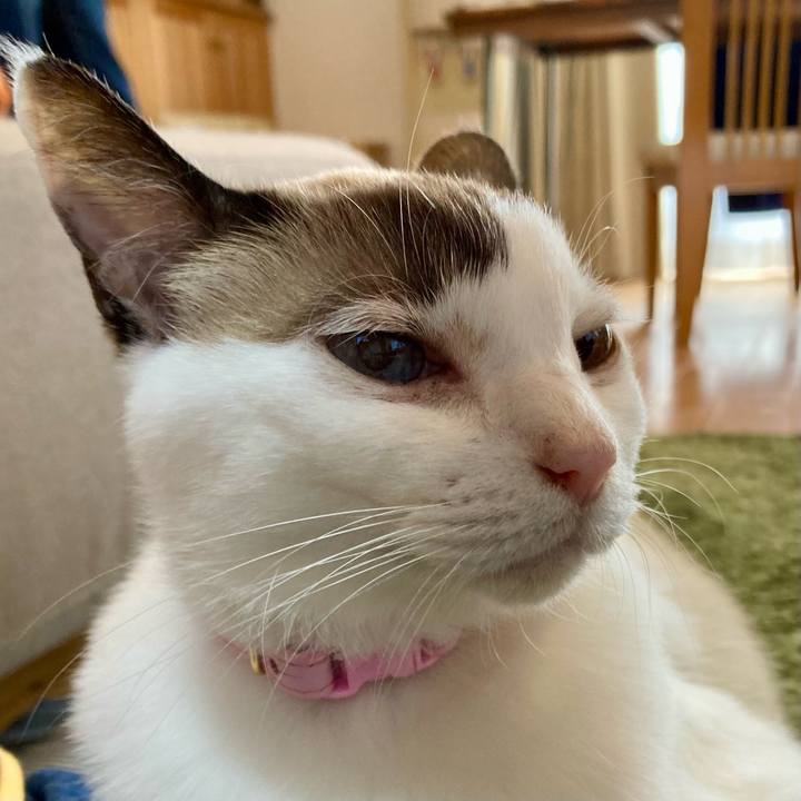 415eacc8 a4a6 4fcb 81b6 df62f4fc7645 1636616018831