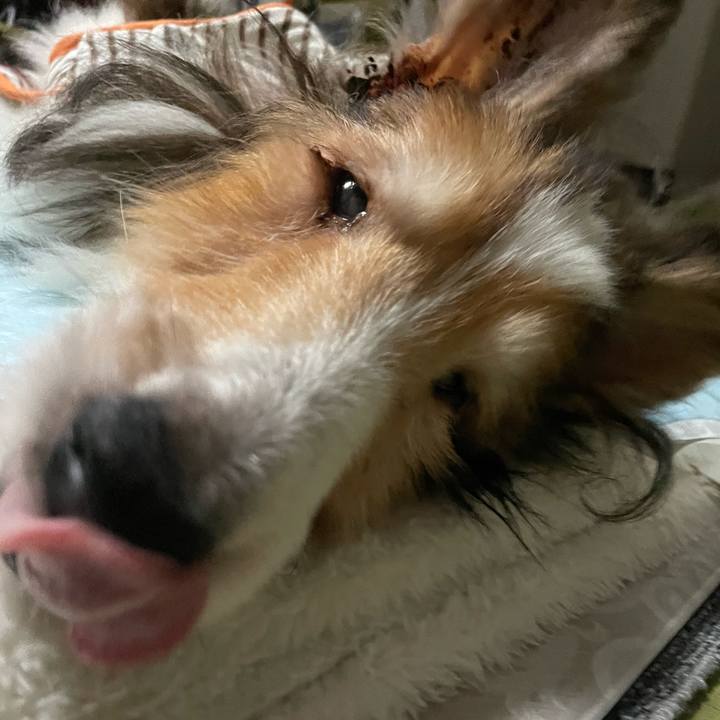 415ee729 2918 49e3 b51a a6a0ce0c493d 1666080926672