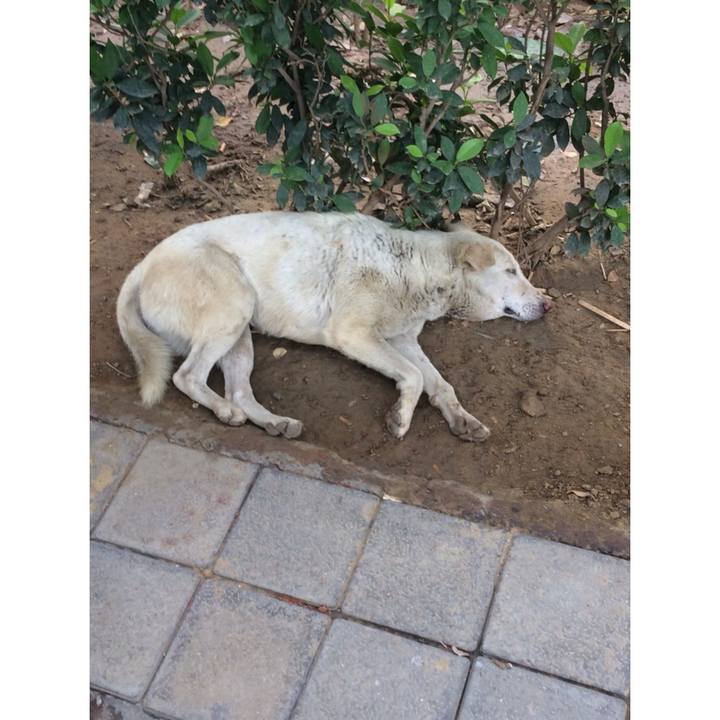 415ef49a a3a8 4bf4 ad4b 4e9ab47a79cd 1554854229077