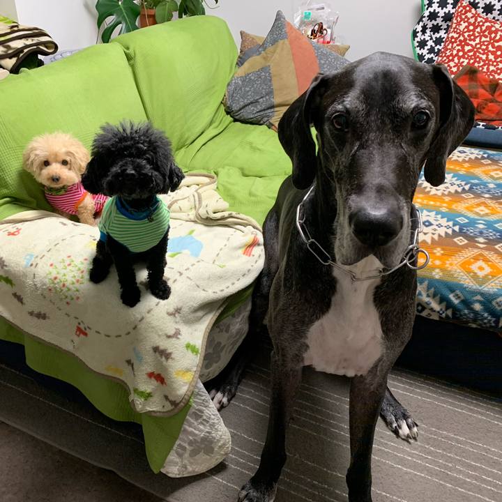 415efba6 514e 4536 898e 2e6f845d127d 1572302116291