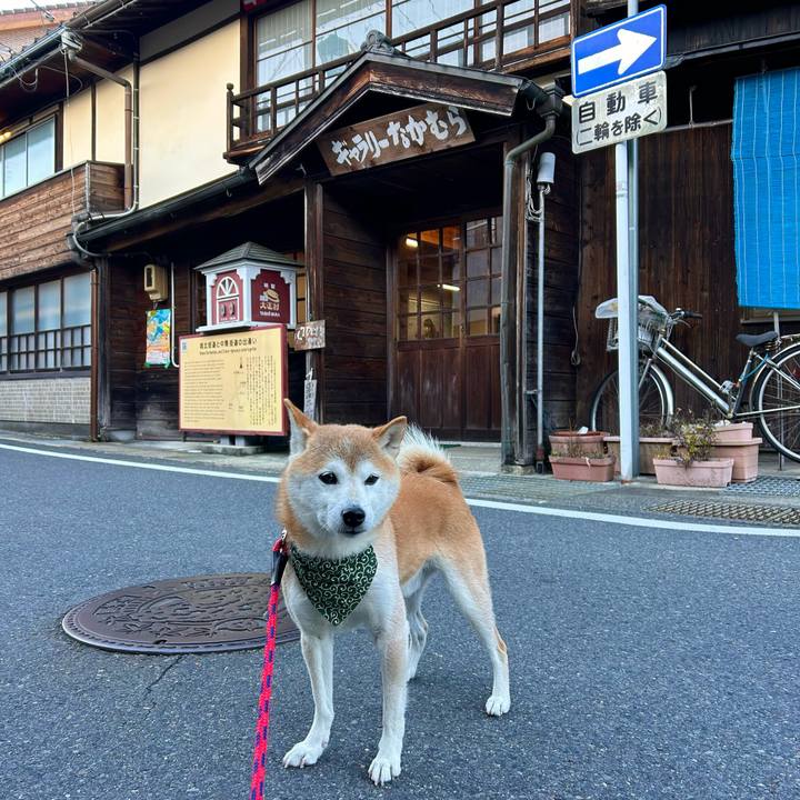 415f12ce 7dd8 4d1a b3d4 a465f934aae7 1700998377151