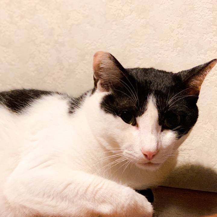 415f1b04 4e7f 48b0 9019 5e29088ac636 1566868486589