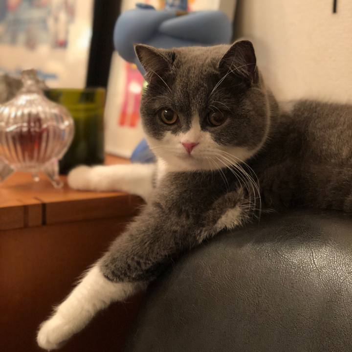 415f213f 2c57 4d86 aaba cea95c1ec7bf 1520466608848