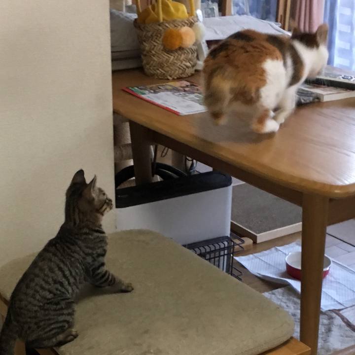 415f4bd7 93a9 44e6 b6be f9e041981bf9 1533178496276