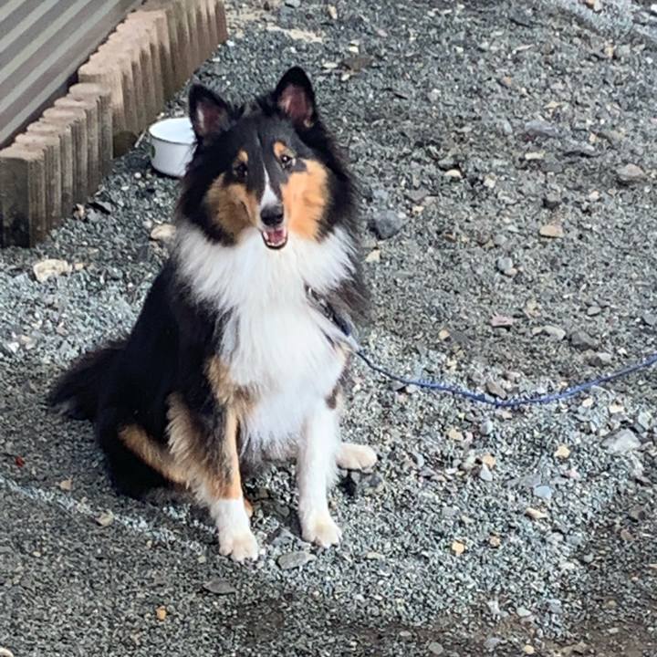 415f5e75 c559 464e 9712 d4f48dd2394f 1569277278053