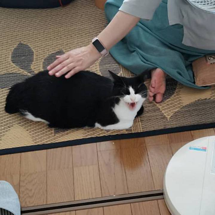 415fd01d 9773 45c1 a200 0f87ca43e402 1691740875160