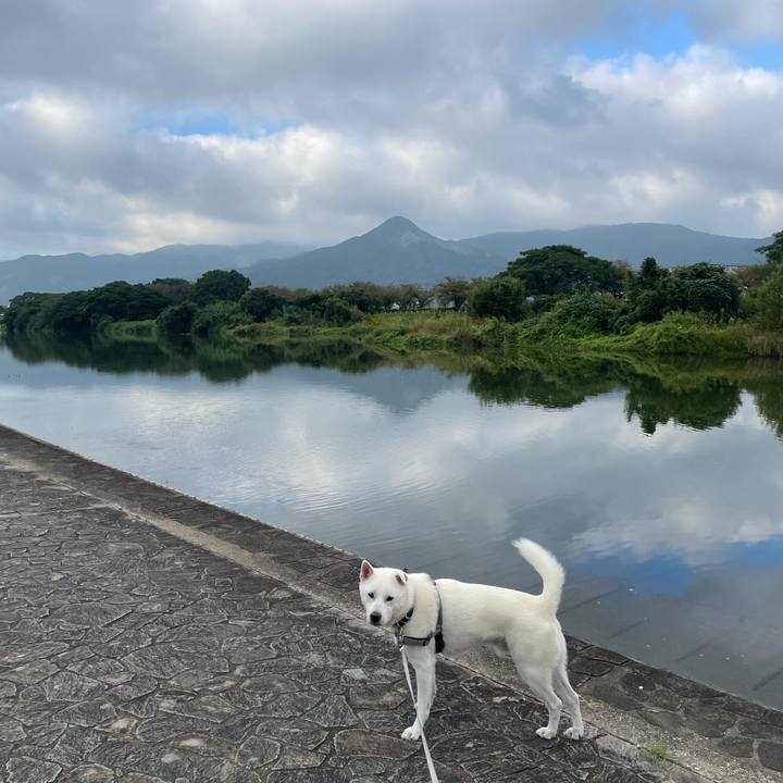 41600108 e171 40cb a721 e6bb675b2b37 1760224615511