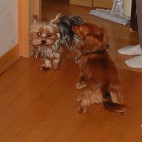 4160a618 c18a 4f2f 8a39 87aed048f3e7 1525870813819