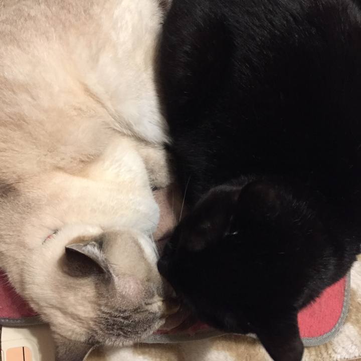 41614b54 d42b 4a2e b071 2d91cc99b9b4 1573128005393