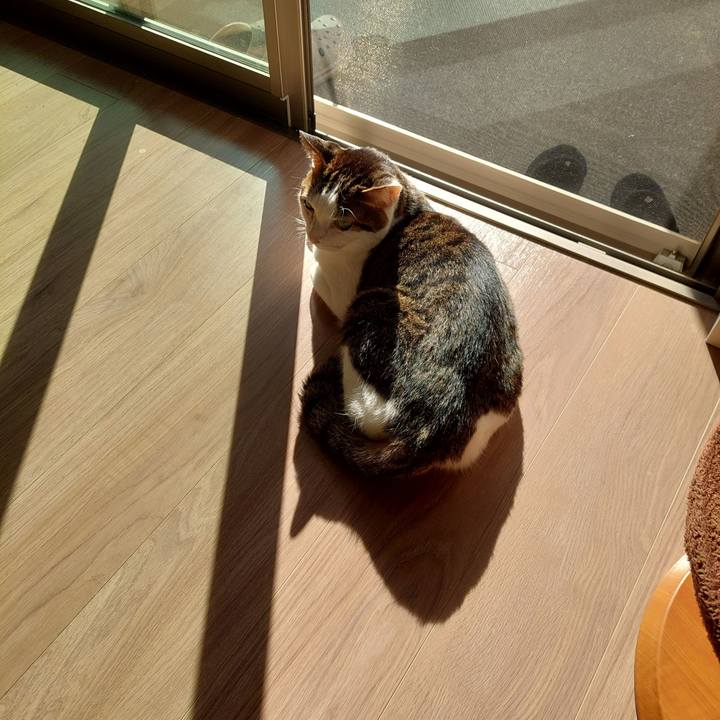 416152e7 15a2 4fcb 9248 f1998217e051 1698796584943