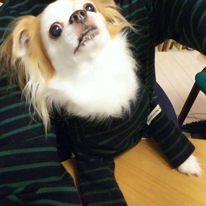 41616329 1ce9 4ce0 b179 d7aa109963be 1508416941468