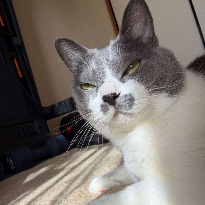 41616a74 cc58 42cf a988 c540d7308fe8 1763772603630