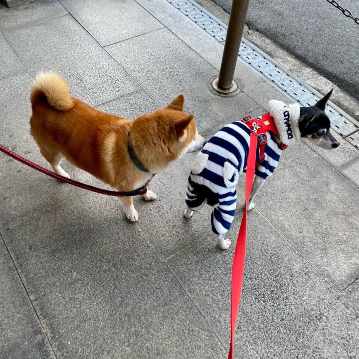 4161a43e 7a2f 47ca bd03 0750364981a5 1608424971659