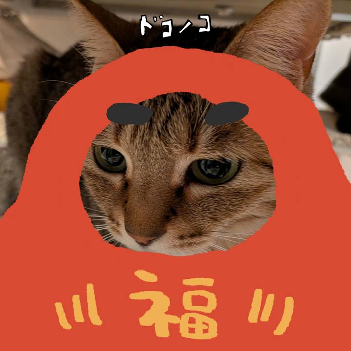 4161d108 3710 4d49 80e1 acc72e6f7d26 1771947942204