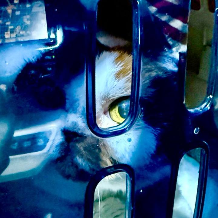 4161fbff aa9b 4725 929e 93ce64005783 1763923689218