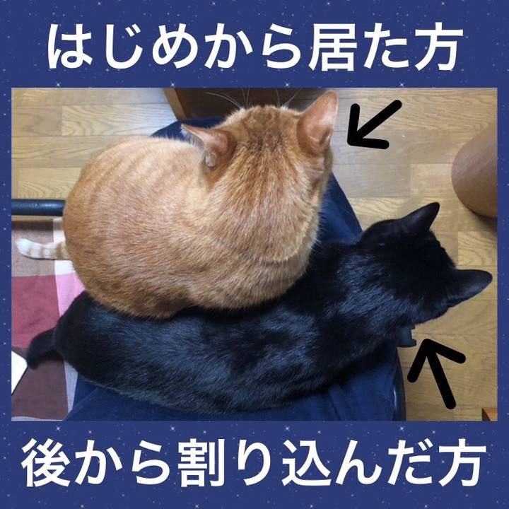 41621c65 2d49 4a12 9f01 9033ee1959fe 1709732819475