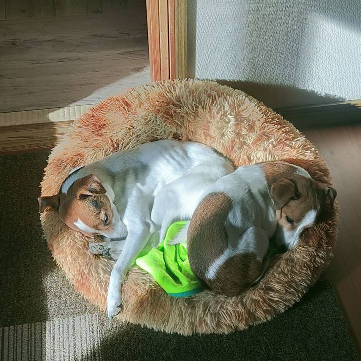 41622e94 0b3f 49bd ab8c 33fe66aeebb1 1765010143315