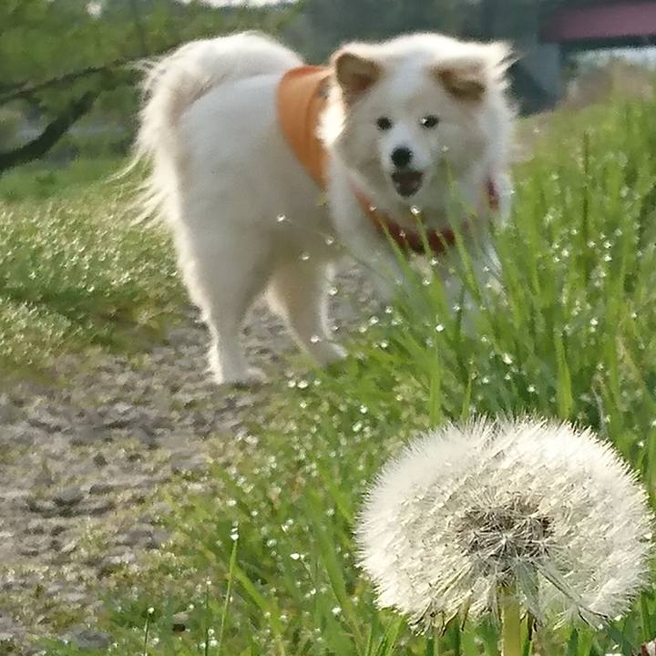 41625e11 3b39 4686 ae3f 07dcda71e516 1524779502957