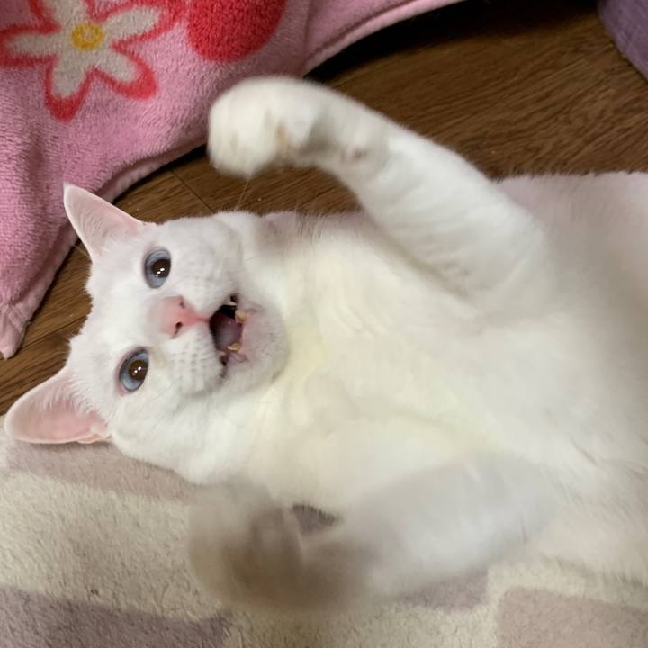 416274c2 2fd4 4570 8016 3dd5834ccd71 1647777085336