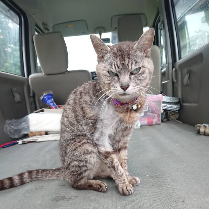 41628f40 b13e 4f48 8911 b0eb1425ca18 1594068325753